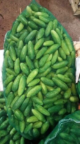 Round 100% Fresh And Natural A Grade Imported Organic Green Cucumber