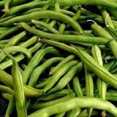 Fresh Quality Imported Organic Green Common Beans