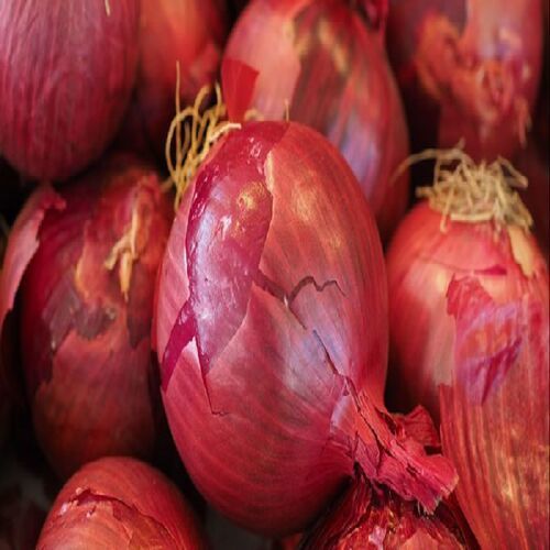 Maturity 100% APEDA Certified Natural Taste Healthy Fresh Red Onion
