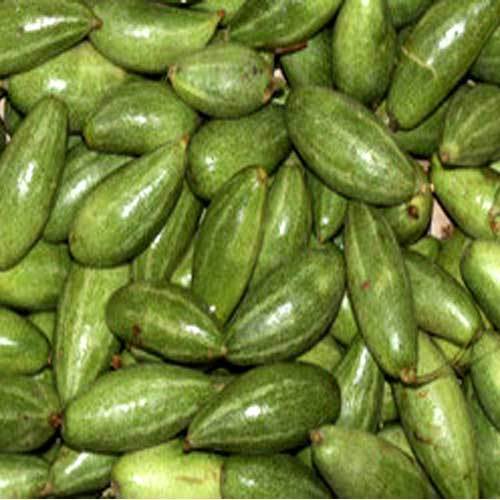 Natural And Healthy A Grade Organic Green Pointed Gourd (Parwal)