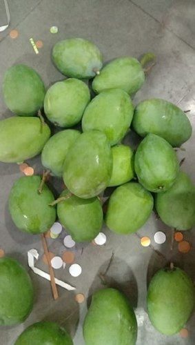 Natural And Organic A Grade Green Rajpuri Raw Mango