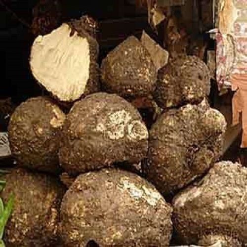 Round Natural And Organic Imported A Grade Elephant Yam (Suran)