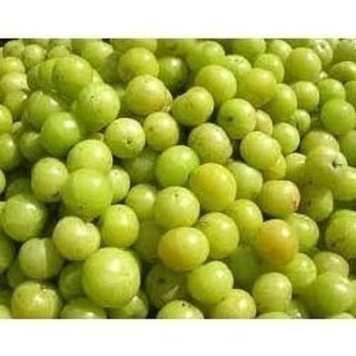 Optimum Freshness A Grade Organic Imported Green Amla