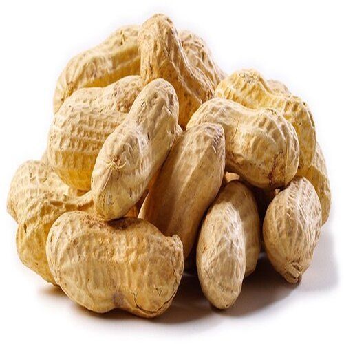 Excellent Quality Good Natural Fine Taste Organic Shelled Peanuts with Pack Size 25-50kg