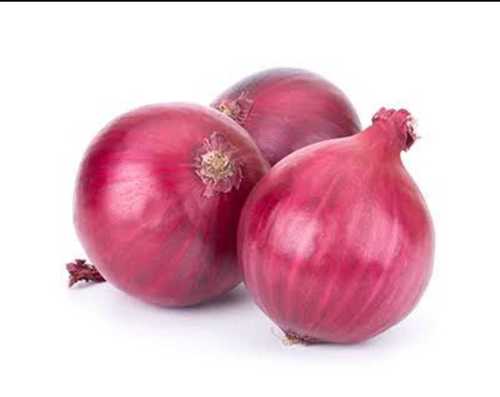 Onion Onion