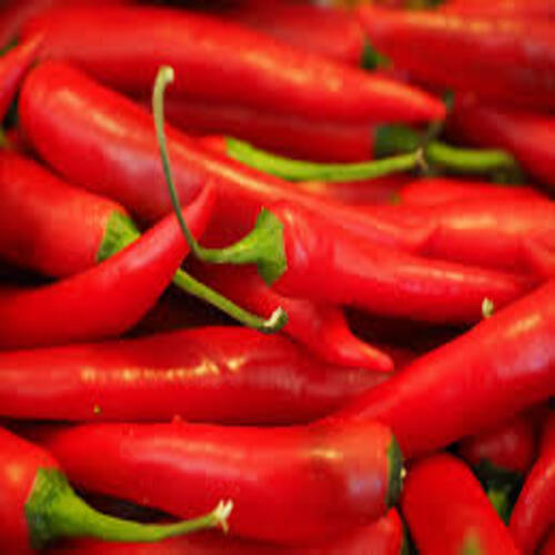 Excellent Quality Hot Spicy Natural Taste Organic Fresh Red Chilli Grade: Food Grade