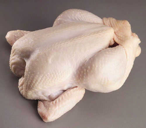 High Nutritious A Grade Frozen Whole Chicken Moisture (%): Less Than 3%