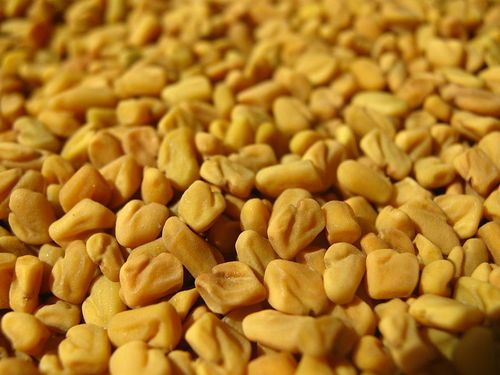 Purity 100% Excellent Quality Rich In Taste Dried Healthy Fenugreek Seeds Grade: Food Grade