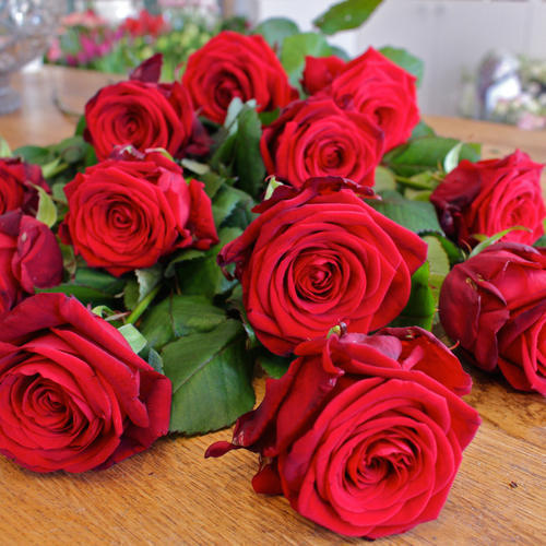 Red Rose, Size: 50 cm, Packaging Size: 20 Stems at Rs 250/piece in  Bengaluru