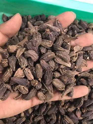 Fresh Free From Impurities Easy To Digest Black Cardamom