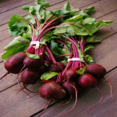 Iron 4% Magnesium 5% High in Protein Natural Taste Healthy Organic Red Fresh Beetroot