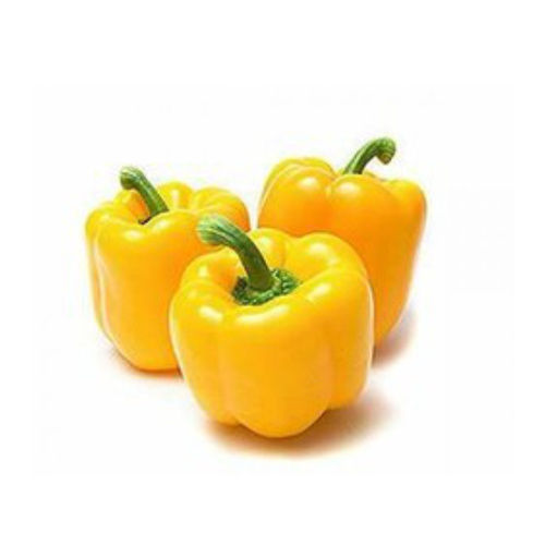 Maturity 90% Fine Natural Taste Healthy Organic Fresh Yellow Capsicum