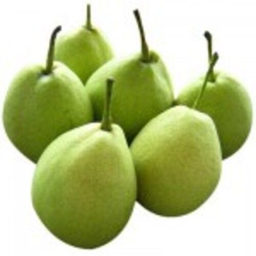 Natural Sweet Taste Nutritious Healthy Organic Green Fresh Pears