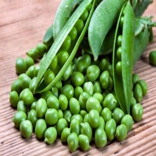 No Artificial Flavour Good Natural Taste Healthy Organic Fresh Green Peas with Pack Size 1-20 kg