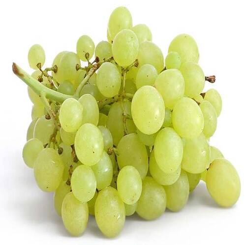 Pesticide Free Juicy Natural Sweet Taste Healthy Organic Green Fresh Grapes With Pack Size 10-20Kg Shelf Life: 7-10 Days