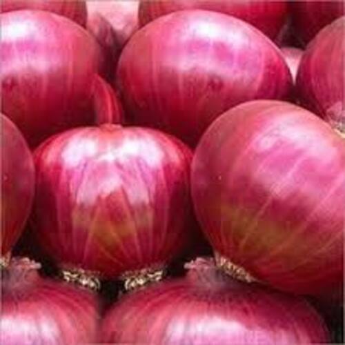 Round & Oval Potassium 4% Enhance The Flavour Natural Taste Healthy Red Fresh Onion With Pack Size 100-500Kg