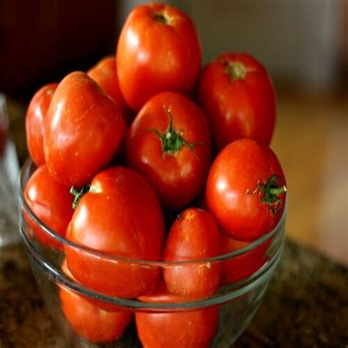 Rich Natural Taste Mild Flavor Healthy Organic Red Fresh Tomato with Pack Size 5-20kg