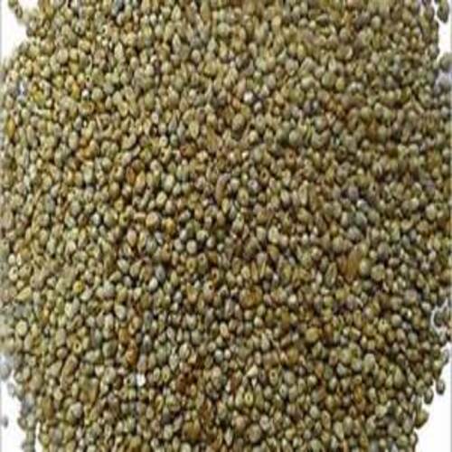 Saturated Fat 0.7g 5% Dietary Fiber 9g 36% Protein 11% Energy 300k/Cal Natural Taste Healthy Dried Organic Pearl Millet Seeds with Pack Size 1-30kg