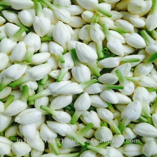 Size 1-3cm Attractive Natural Soft Decorative White Fresh Jasmine Flowers
