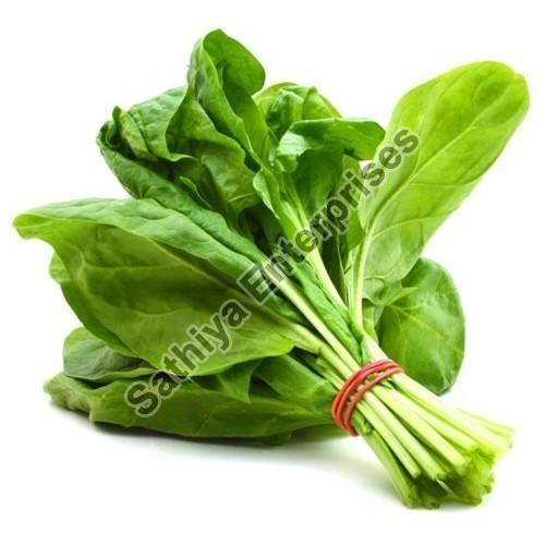 Excellent Quality Good Taste Natural Healthy Organic Green Fresh Spinach Packed In Plastic Bag Shelf Life: 5-7 Days