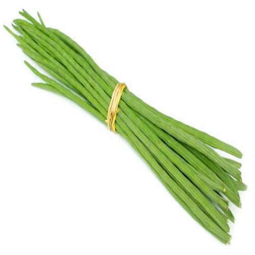 Floury Texture Eco-Friendly Natural Healthy Green Fresh Drumsticks