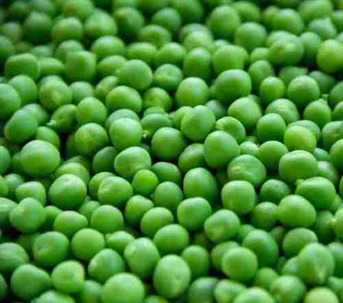 Freeze Drying Kosher Salt Preserving Pure And Nutritious Frozen Green Peas