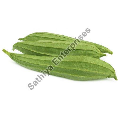 Healthy Natural Taste Organic Green Fresh Ridge Gourd with Pack Size 10-20kg