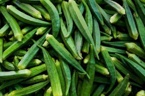 High Quality Good Natural Taste Healthy Green Fresh Okra