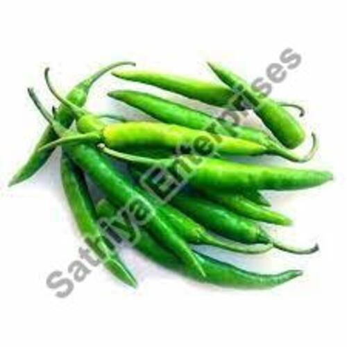 Hot Spicy Natural Taste Healthy Organic Fresh Green Chilli with Pack Size 10-20kg
