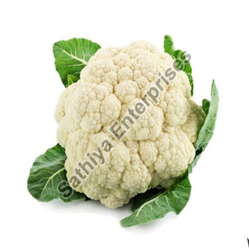 Maturity 100% Eco-Friendly Healthy Natural Taste Organic Fresh Cauliflower