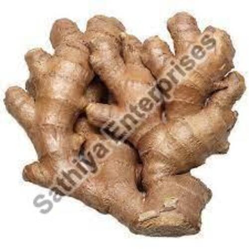 Oil Content 1-2% Hygienically Packed No Artificial Flavour Organic Brown Fresh Ginger Packed in Gunny Bag or Jute Bag