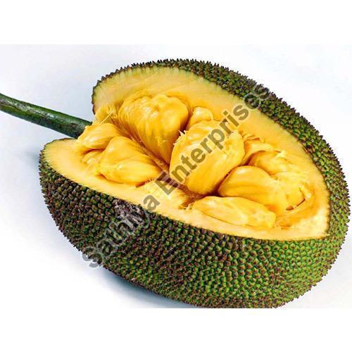 Potassium 13% Protein 1.9gm Fat 0.5gm Rich in Taste Nutritious Healthy Organic Fresh Jackfruit Packed in Plastic Bag