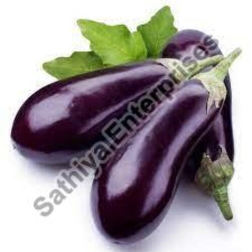 Potassium 229mg Vitamin C 3% Fine Natural Taste Organic Purple Fresh Brinjal Packed in Plastic Packet