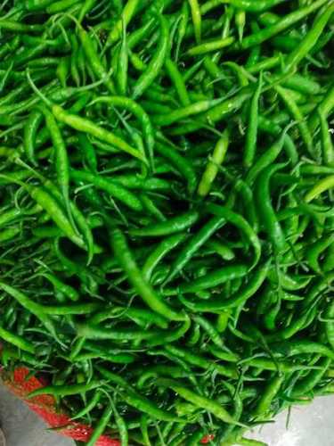 A Grade Spicy Green Chilly For Cooking