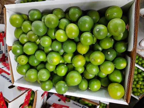 Fresh Organic Green Sweet Lime Fruits