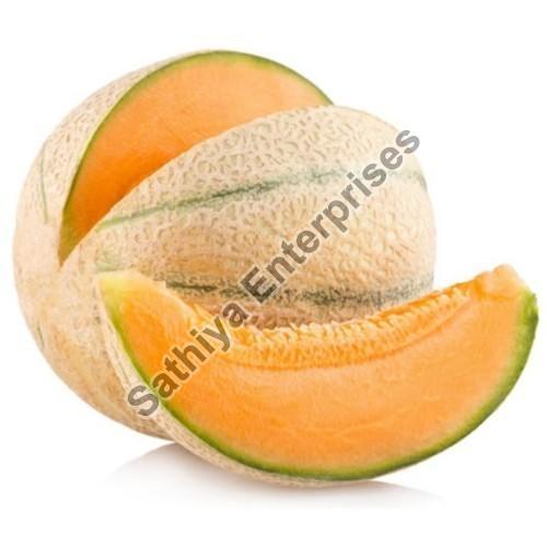 Hygienically Packed Natural Rich Sweet Taste Healthy Organic Fresh Muskmelon Packed in Plastic Packet