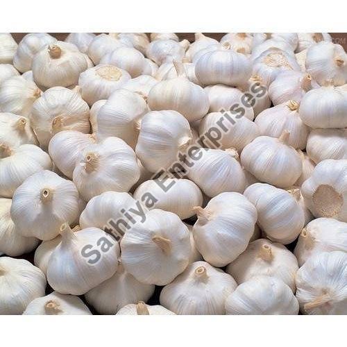 Maturity 99% Rich In Taste Natural Healthy Organic White Fresh Garlic Packed in Plastic Bag