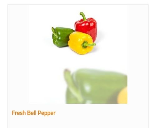 Organic and Fresh Bell Pepper with Vitamin A