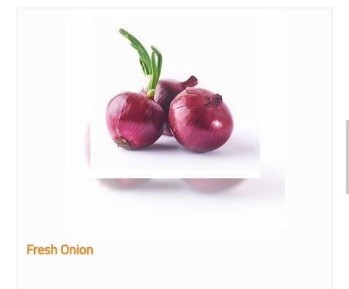 Organic and Fresh Onion without Preservatives 