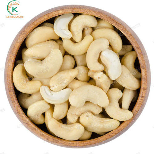 White Organic Dried Cashew Nut Vietnam