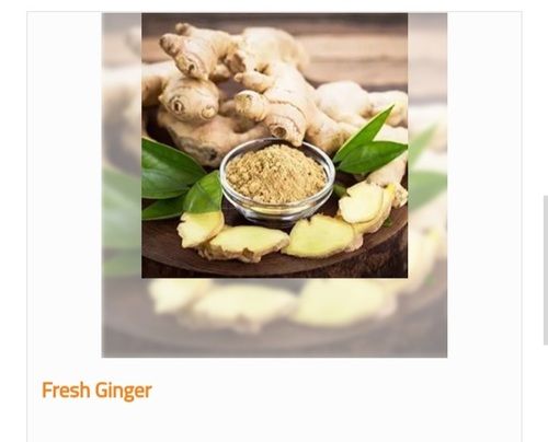 Superior Grade Organic and Fresh Ginger