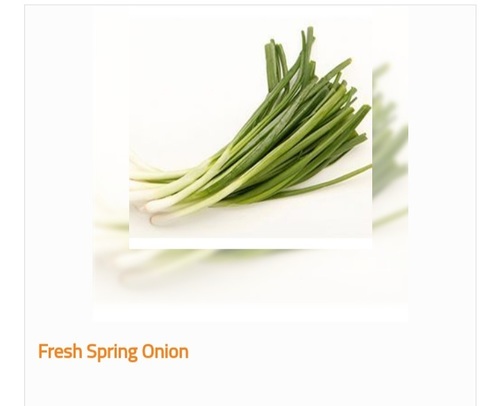 Superior Grade Organic and Fresh Spring Onion