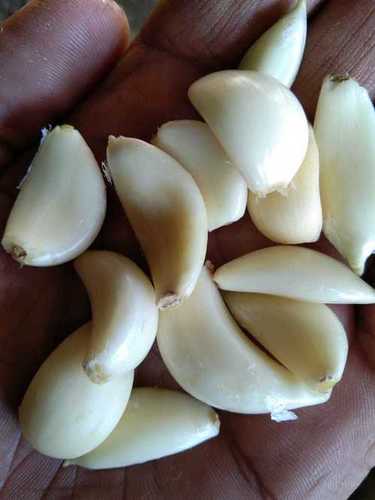 Gluten Free Natural White Peeled Garlic