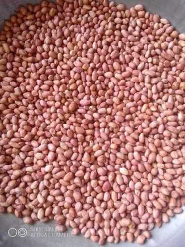 Peanut (Groundnut) Seed For Farming