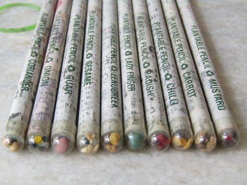 White Plantable Vegetable Seed Blue Green Red Color Lead Recycled Paper Writing Pencil