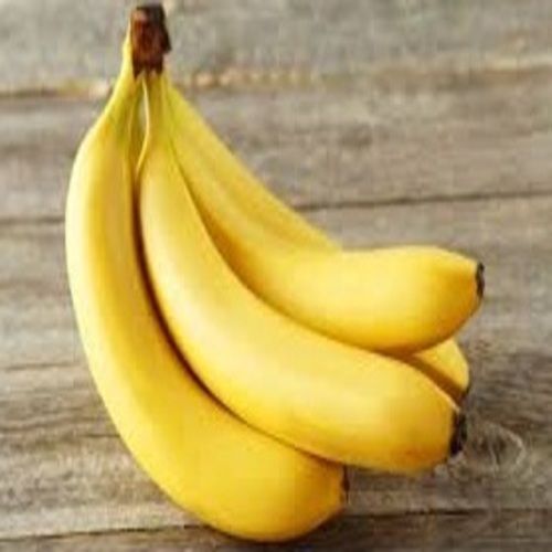 Potassium 10% Vitamin B 6 20% Magnesium 8% Absolutely Delicious Natural Taste Healthy Organic Yellow Fresh Banana Size: Standard