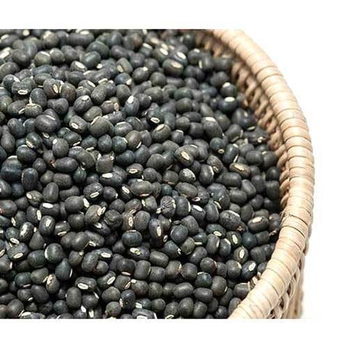 High In Protein Dried Organic Whole Black Urad Dal with Pack Size 10kg or 25kg