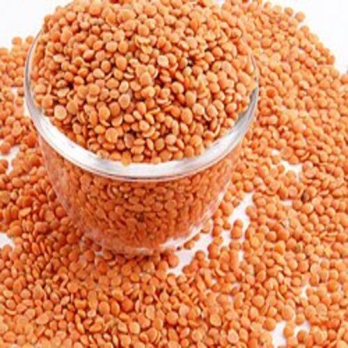 High Protein Easy To Cook Healthy Organic Dried Red Masoor Dal Packed In Plastic Packet Grain Size: Standard