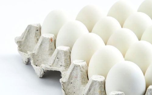 100% Fresh High Protein White Poultry Eggs For Cooking, Bakery