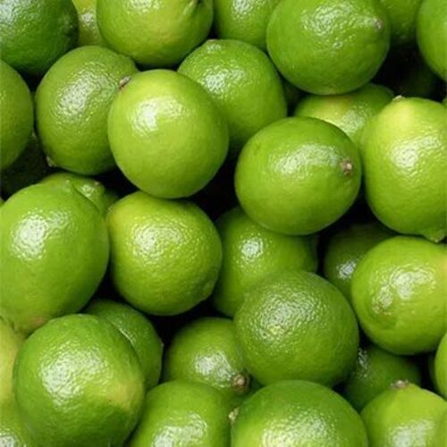 Maturity 90% Sour Natural Taste Easy To Digest Organic Fresh Green Lemon